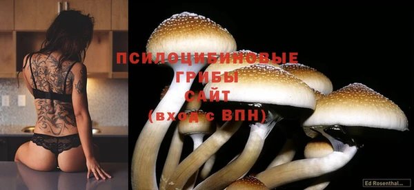 кокаин премиум Богородицк