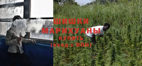 гидропоника Богородск