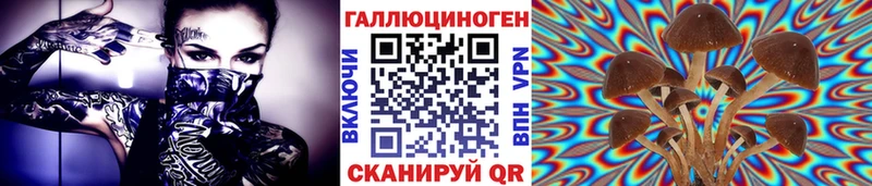 Галлюциногенные грибы Psilocybe  маркетплейс как зайти  Таганрог 
