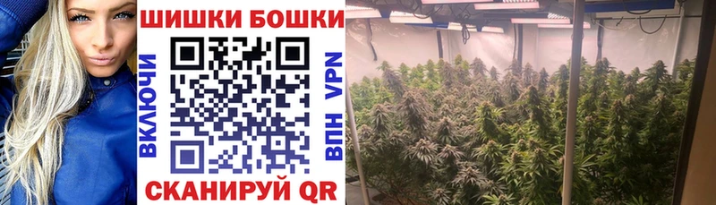 Конопля OG Kush  Таганрог 